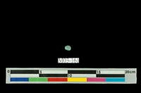 藏品(綠松石)的圖片